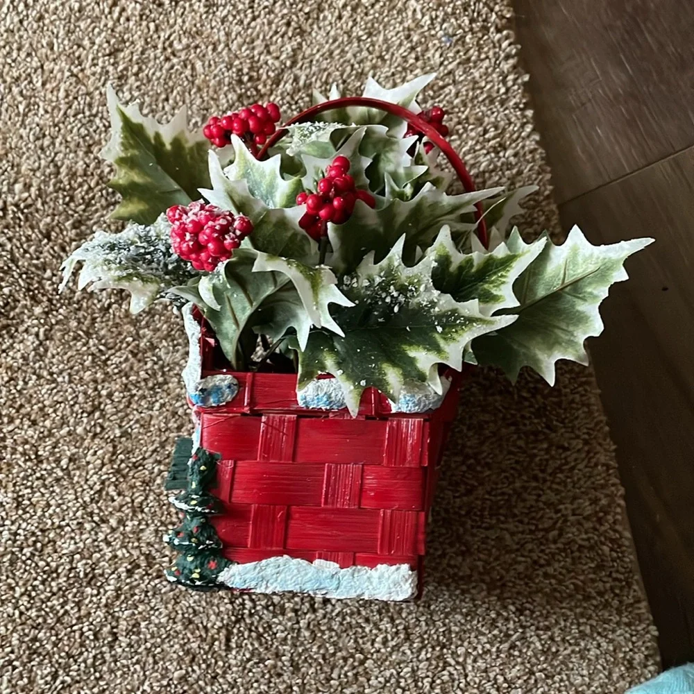 Christmas Shop Variegated Ivy Basket arrangement